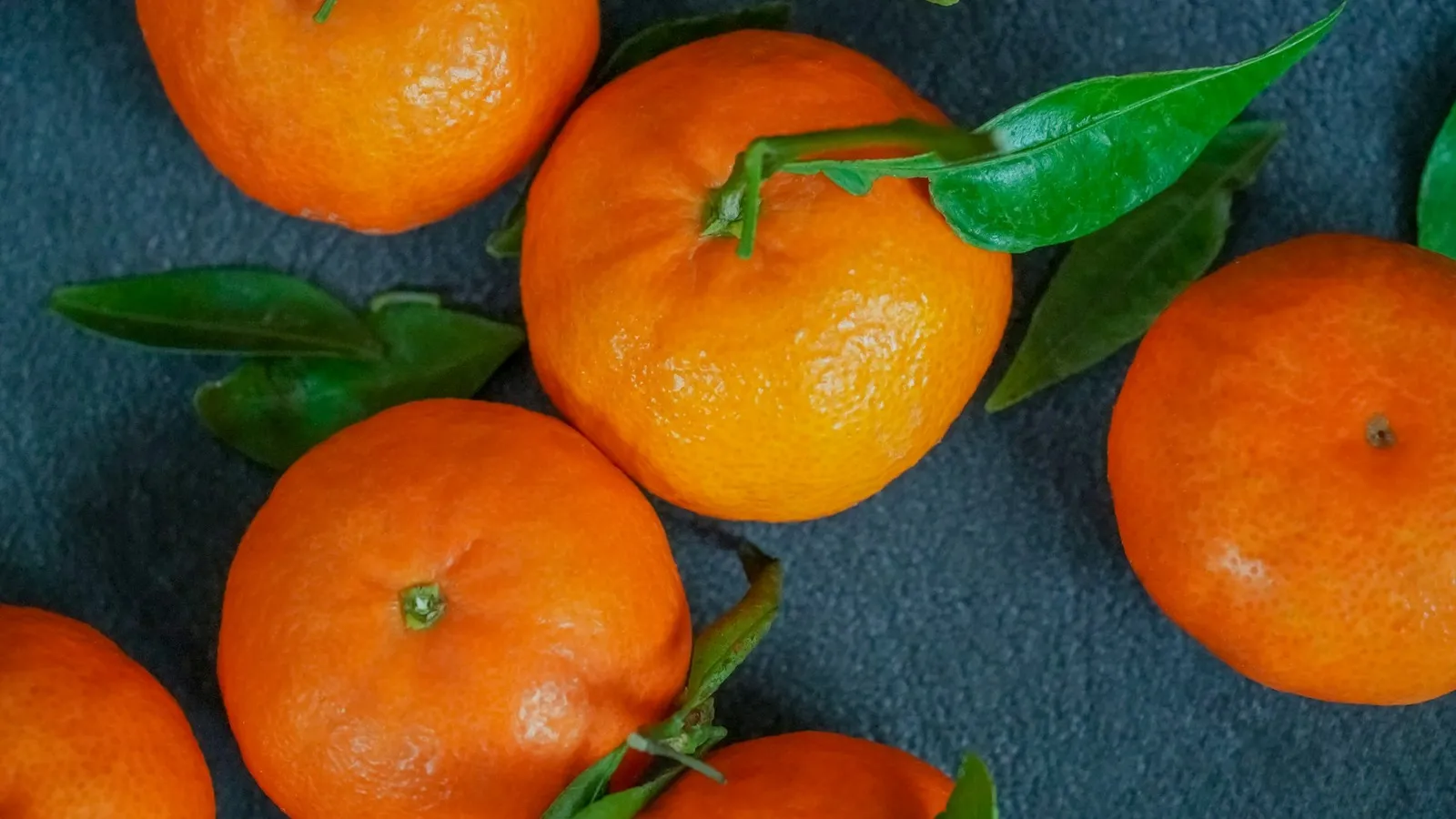 Afourer mandarin (Nadorcott), a premium seedless late-season Australian variety