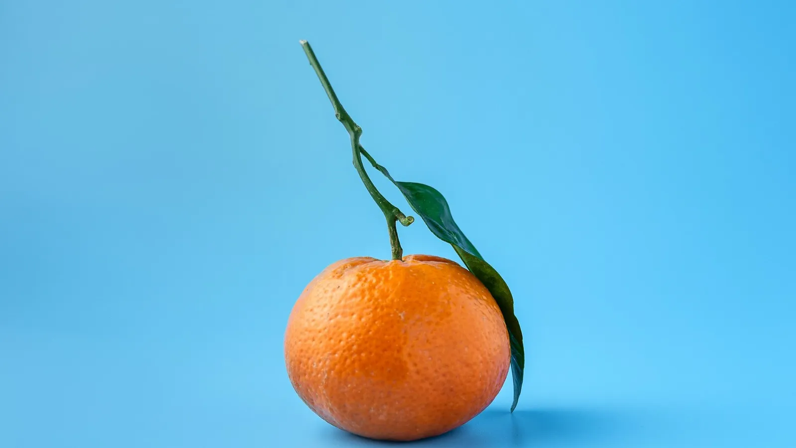Honey Murcott mandarin, the sweet juice-rich late-season Australian variety