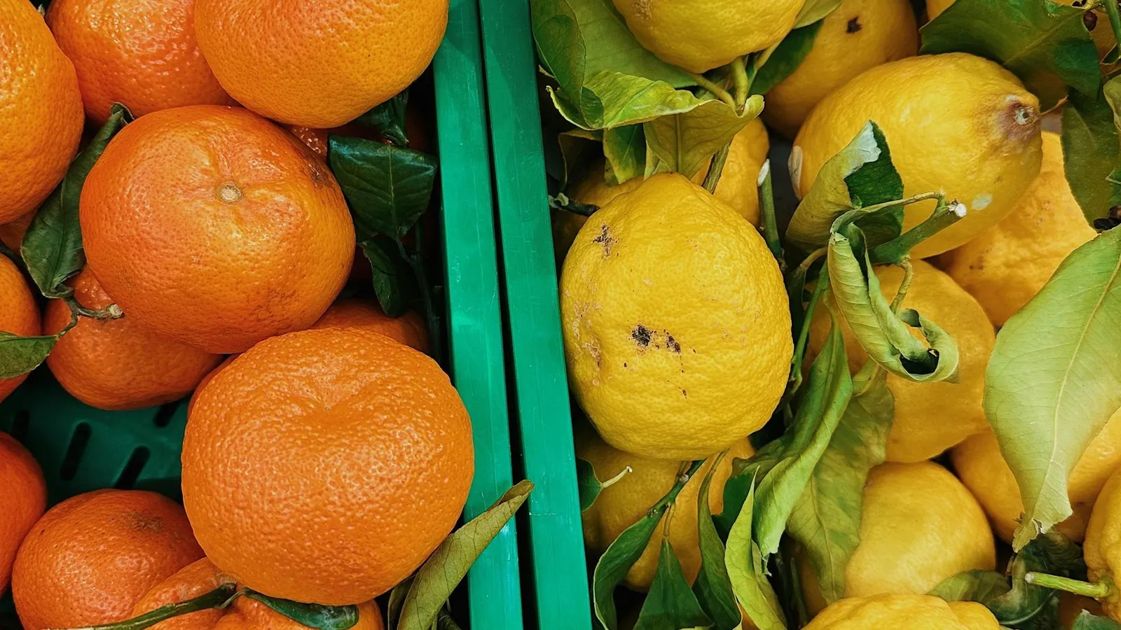 Choosing fresh mandarins at an Australian market