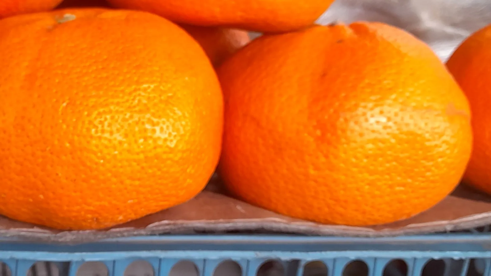 Mandarins stored for keeping fresh on the bench or in the fridge