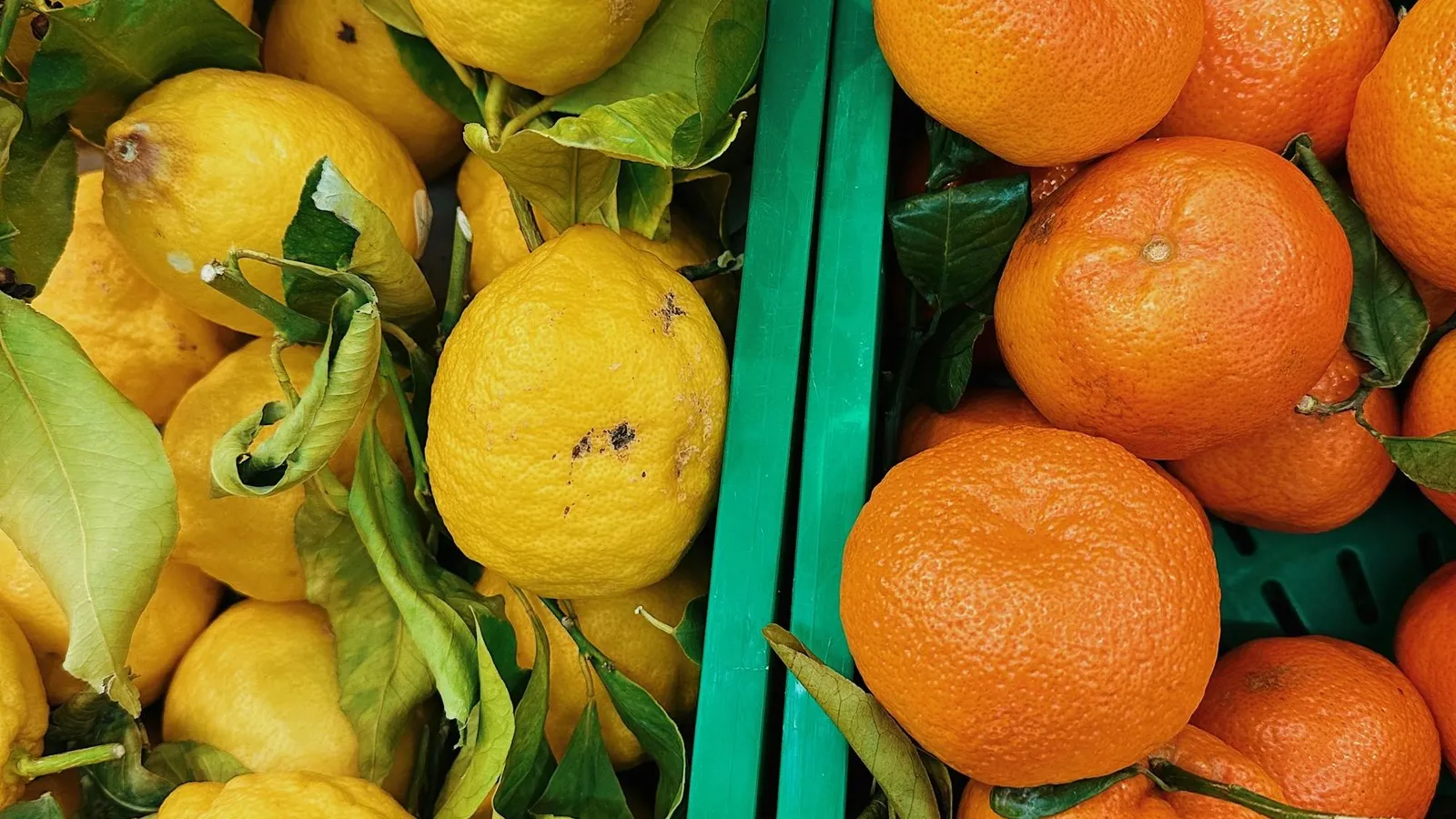 A crate of mandarins from a farm-direct or grower box scheme in Australia