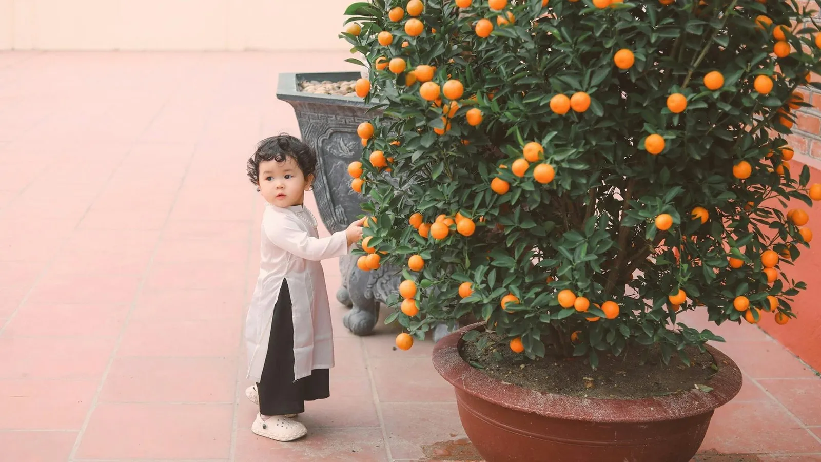 Mandarins as an Australian lunchbox fruit for kids