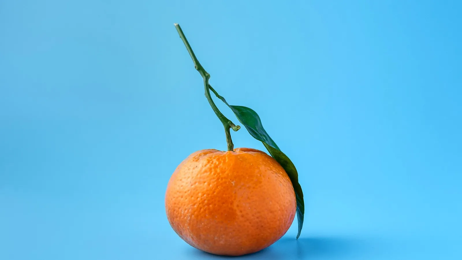 Late-season Honey Murcott mandarins in August in Australia