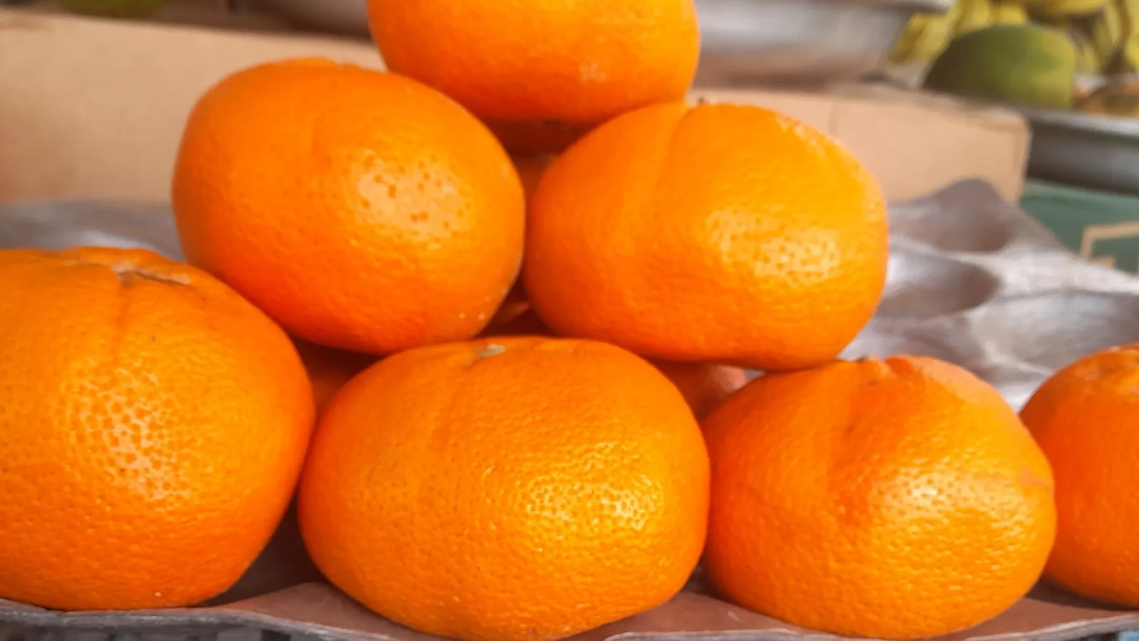 Mandarins next to oranges showing the size and peel differences