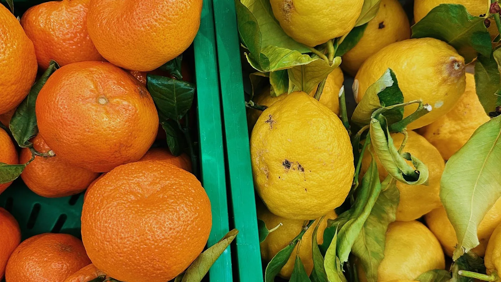 Australian Mandarin Season